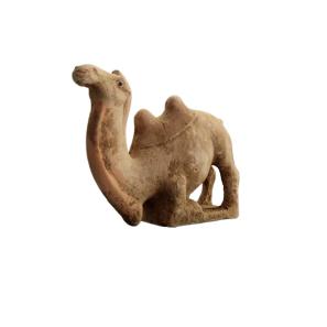  tang camel pottery figurines 